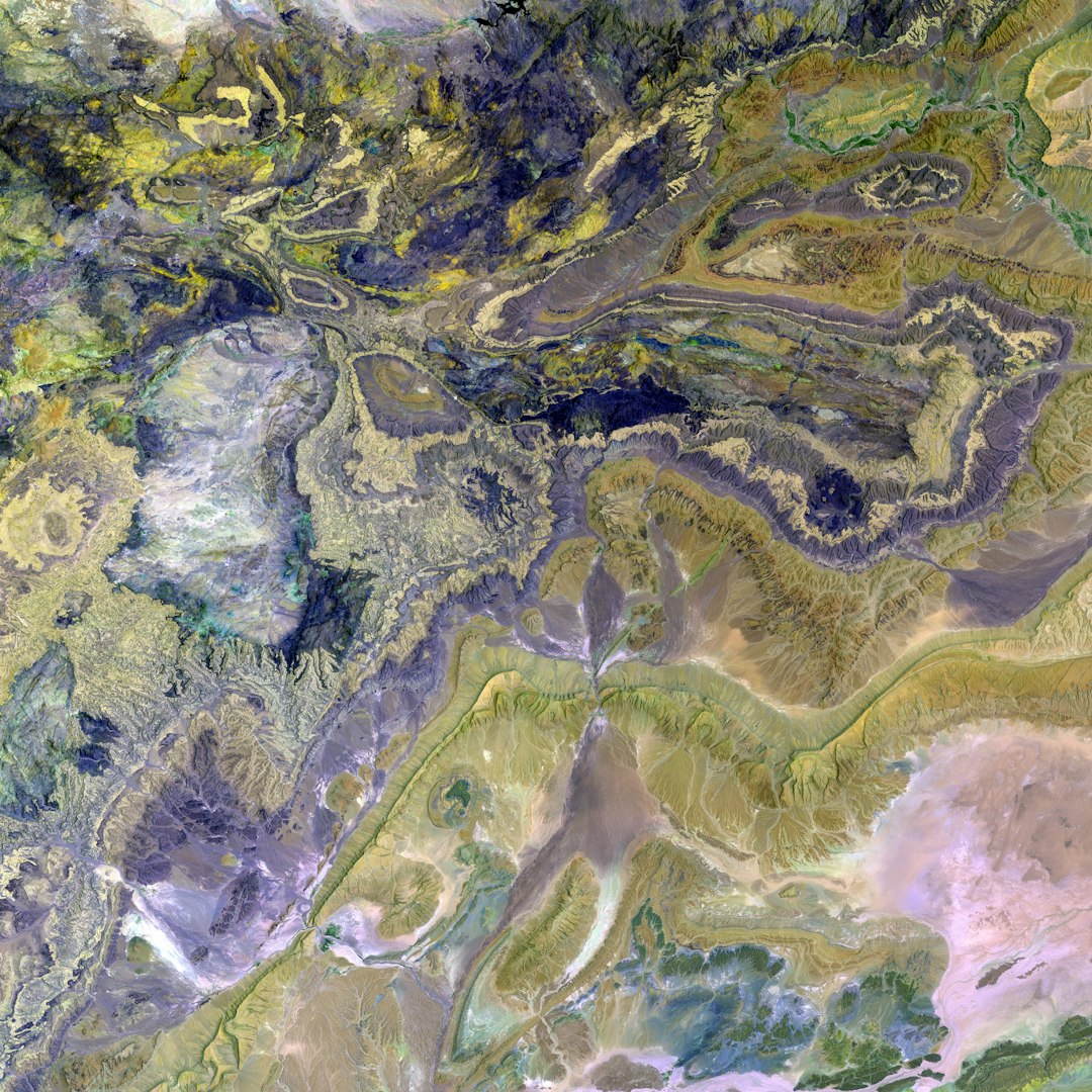 French pastries including croissants